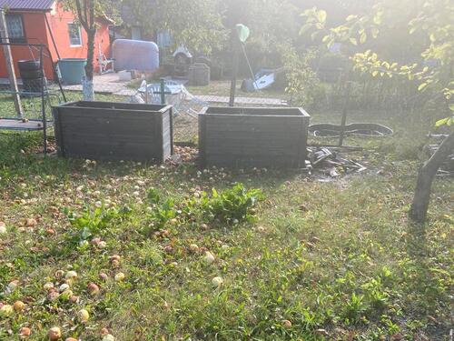 Foto - Grundstück in Gotha