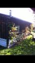 Foto - 3 Zimmer Bungalow zur Miete in Philippsthal (Werra)