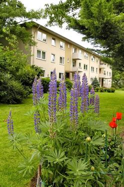 Foto - 2 Zimmer Etagenwohnung in Duisburg