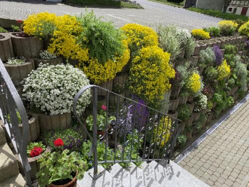 Foto - Etagenwohnung in Pockau-Lengefeld zur Miete