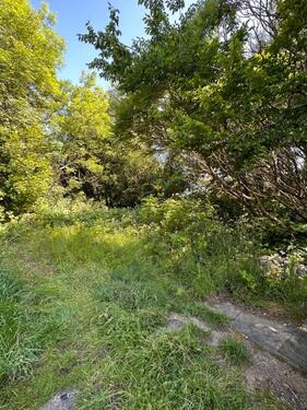 Foto - Grundst&uuml;ck zum Kaufen in Weiskirchen