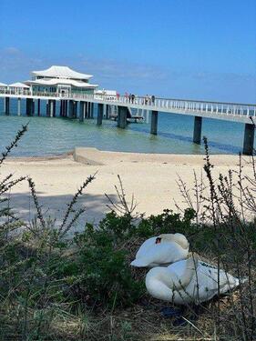 Foto - ⚓Ferienwohnung Timmendorfer Strand mit Pool & Bikes