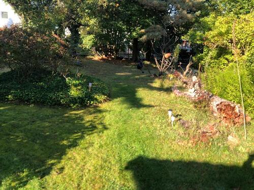 Foto - Einfamilienhaus zum Kaufen in Berlin