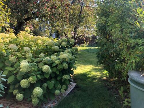 Foto - Einfamilienhaus in Berlin