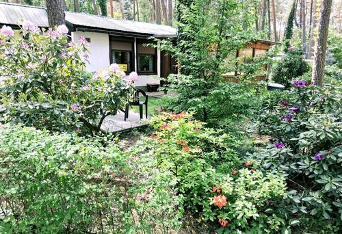 Foto - Bungalow, Wochenendhaus, Ferienhaus