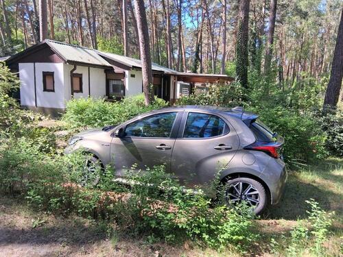 Foto - 2 Zimmer Bungalow in Eisenhüttenstadt