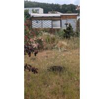 Pachtgarten abzugeben - 2.800,00 EUR Kaltmiete, ca.  0,00 m² in Eisenach (PLZ: 99817)