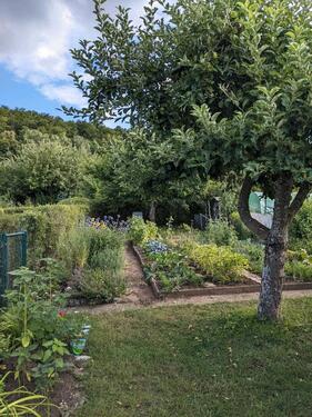 Foto - Schöner Schrebergarten am Bausenberg