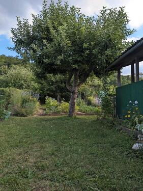 Foto - Grundstück in Coburg zur Miete