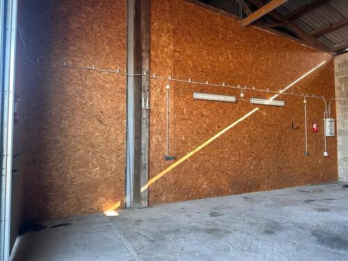 Foto - andere in Trier