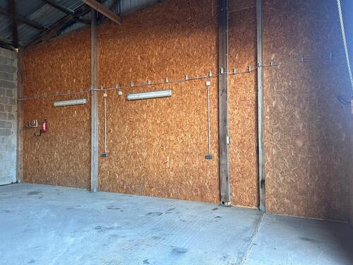 Foto - andere in Trier zur Miete