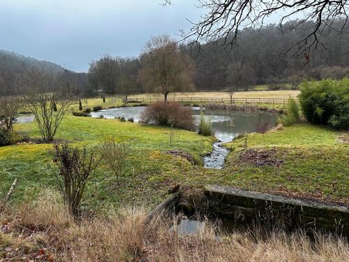 Foto - Einfamilienhaus in Simmern/Hunsrück