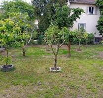 Innerstädtisch gelegene Wohnung in Zweifamilienhaus - Heilbronn Innerstädtisch gelegene Wohnung in Zweifamilienhaus - Heilbronn