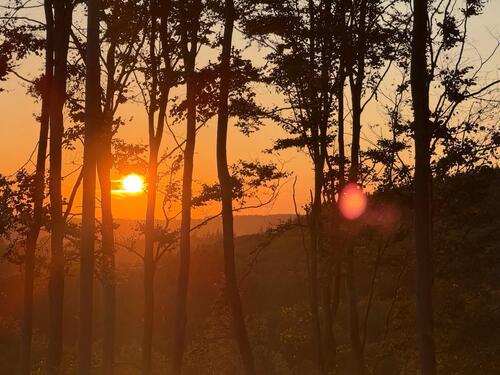 Foto - Lagerfläche Stellplatz - 50,00 EUR Miete,