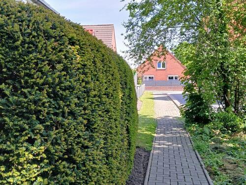 Foto - andere in Hinte zur Miete