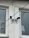 Foto - andere in Köln zur Miete