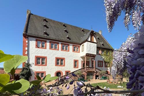 Foto - Stilvolle Gewerberäume im Stadtschloss Klingenberg