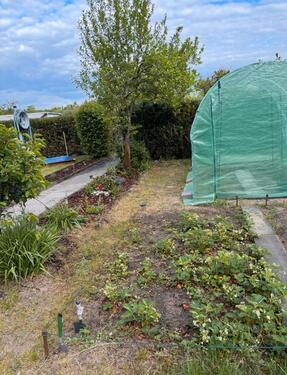 Foto - Grundst&uuml;ck in Wiesenburg/Mark