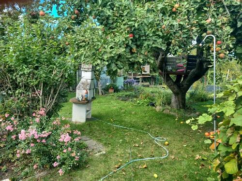 Foto - Gartengrundstück - 250,00 EUR Kaltmiete, ca.  0,00 m²