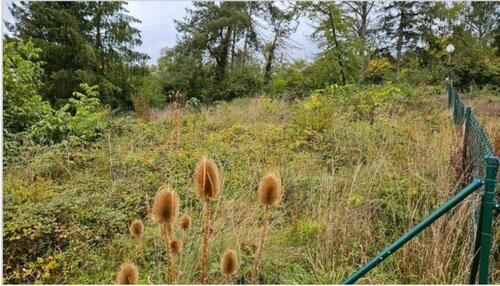 Foto - Garten zur Pacht in Wi-Freudenberg