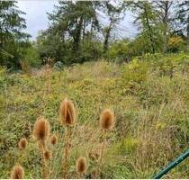 Garten zur Pacht in Wi-Freudenberg - Wiesbaden Nordost