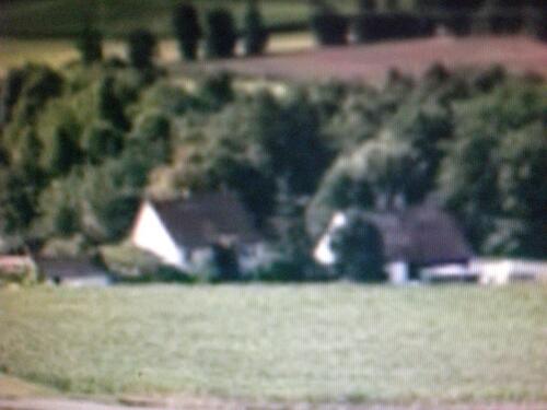 Foto - Bauernhof neben Pferde Weiden ,im schönen Kaierberg , Traumlage !