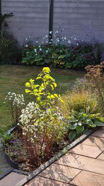 Foto - Einfamilienhaus zum Kaufen in Grasberg