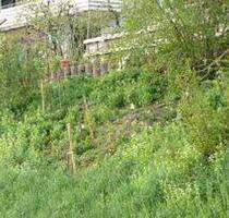 Garten zu pacht - Hanau Grossauheim