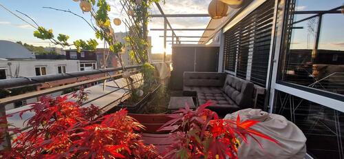 Foto - BEFRISTET Penthouse Wohnung im Französischen Viertel Tübingen