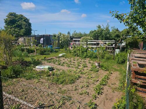 Foto - Grundst&uuml;ck zur Miete in Fürstenwalde (Spree)
