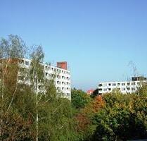 Hier fühlen Sie sich wohl: individuelle Studenten und Seniorenwohnung - Kiel Schreventeich