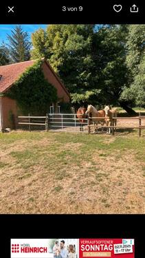 Foto - andere zur Miete in Wermelskirchen