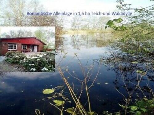Foto - Ferienhaus-Teichperle in ALLEINLAGE 1.5ha im Wald am Teich