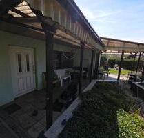 Kleingarten im Dornröschenschlaf - Vetschau/Spreewald