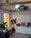 Foto - Einfamilienhaus zum Kaufen in Großheide