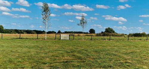 Foto - 8 Zimmer Einfamilienhaus in Franzburg