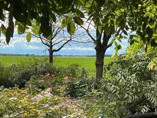 Foto - 5.5 Zimmer Einfamilienhaus in Lengede