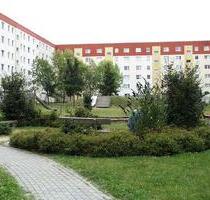 Ihr neues Zuhause in Schönwalde II - Greifswald Groß Schönwalde