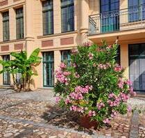Sonnige, große 3 Zimmer Wohnung,Parterre in mediterranem Ambiente - Quedlinburg