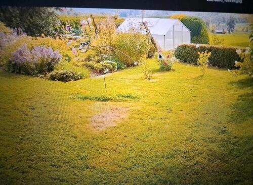 Foto - 3 Zimmer Erdgeschoßwohnung zur Miete in Grebenhain