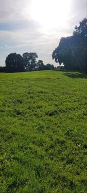 Foto - Koppel, Weideland zu verpachten
