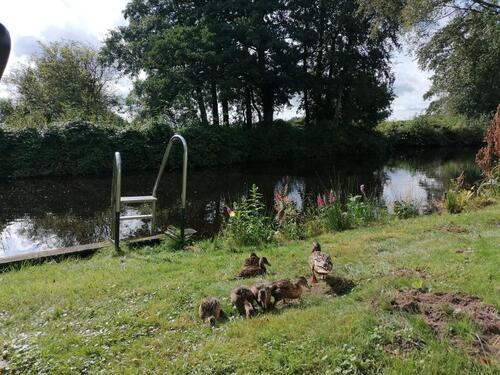 Foto - Einfamilienhaus in Südbrookmerland zum Kaufen