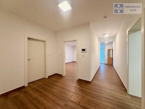 Foto - 2 Zimmer Erdgeschoßwohnung zur Miete in Homburg