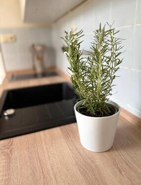 Foto - andere in Hanstedt zur Miete