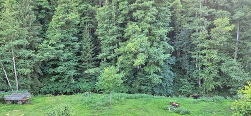 Foto - Einfamilienhaus in Schneeberg zum Kaufen