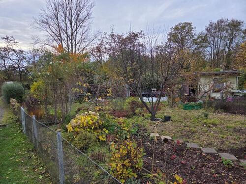 Foto - Grundst&uuml;ck in Halle (Saale)