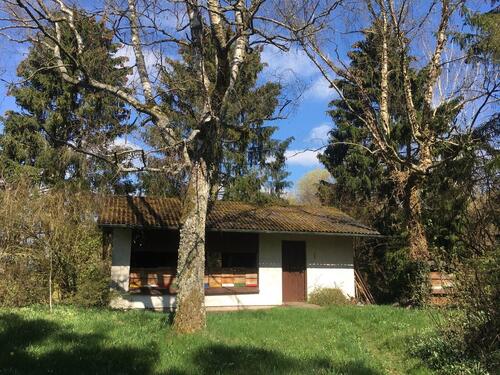 Foto - Bienenhaus Bienenstand - Freizeitgelände Wiesenfläche Imker Honig