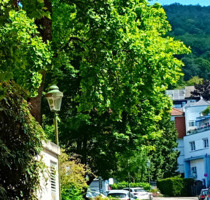 Baden-Baden***tolle 3-Zi-Maisonette-Wohnung mit Sonnenterrasse***