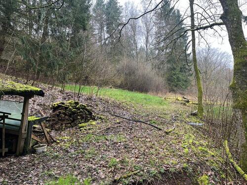 Foto - Grundstück zur Miete in Kirchheimbolanden