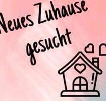 3 Zimmer Wohnung - 650,00&nbsp;EUR Kaltmiete, ca.&nbsp; 80,00&nbsp;m&sup2; in Eschweiler (PLZ: 52249)